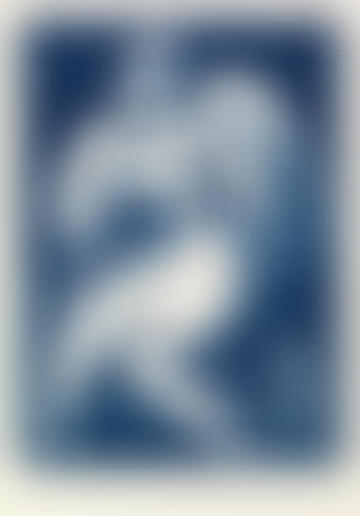 Coquette (preview)