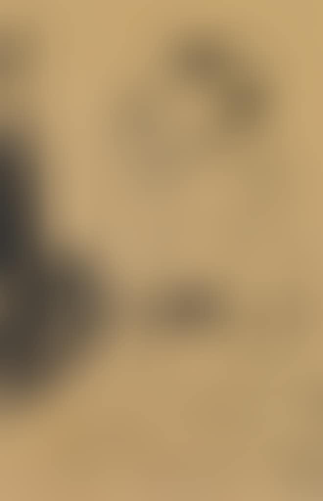 Burlesque Scene (preview)