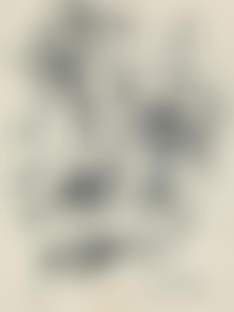 Yosemite Valley (preview)