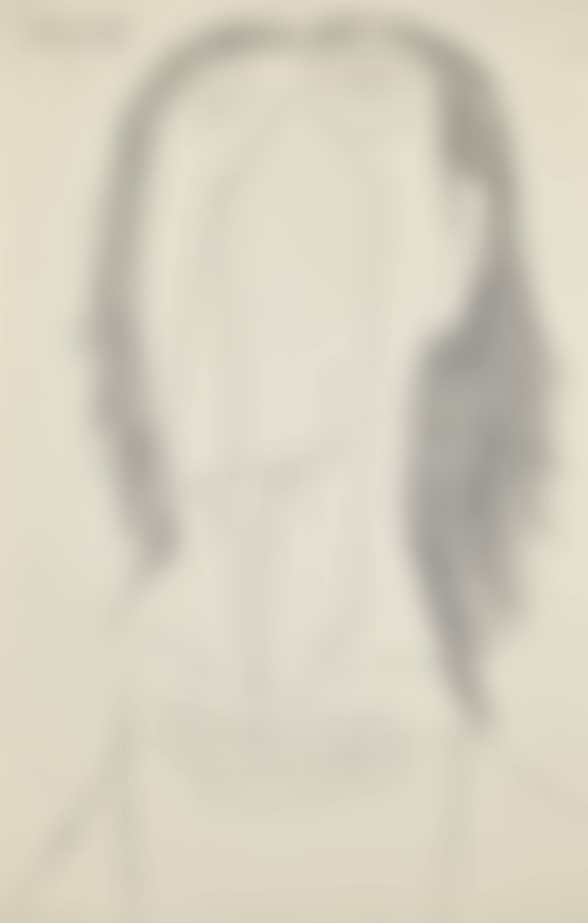 Untitled (Head with Hair) (preview)