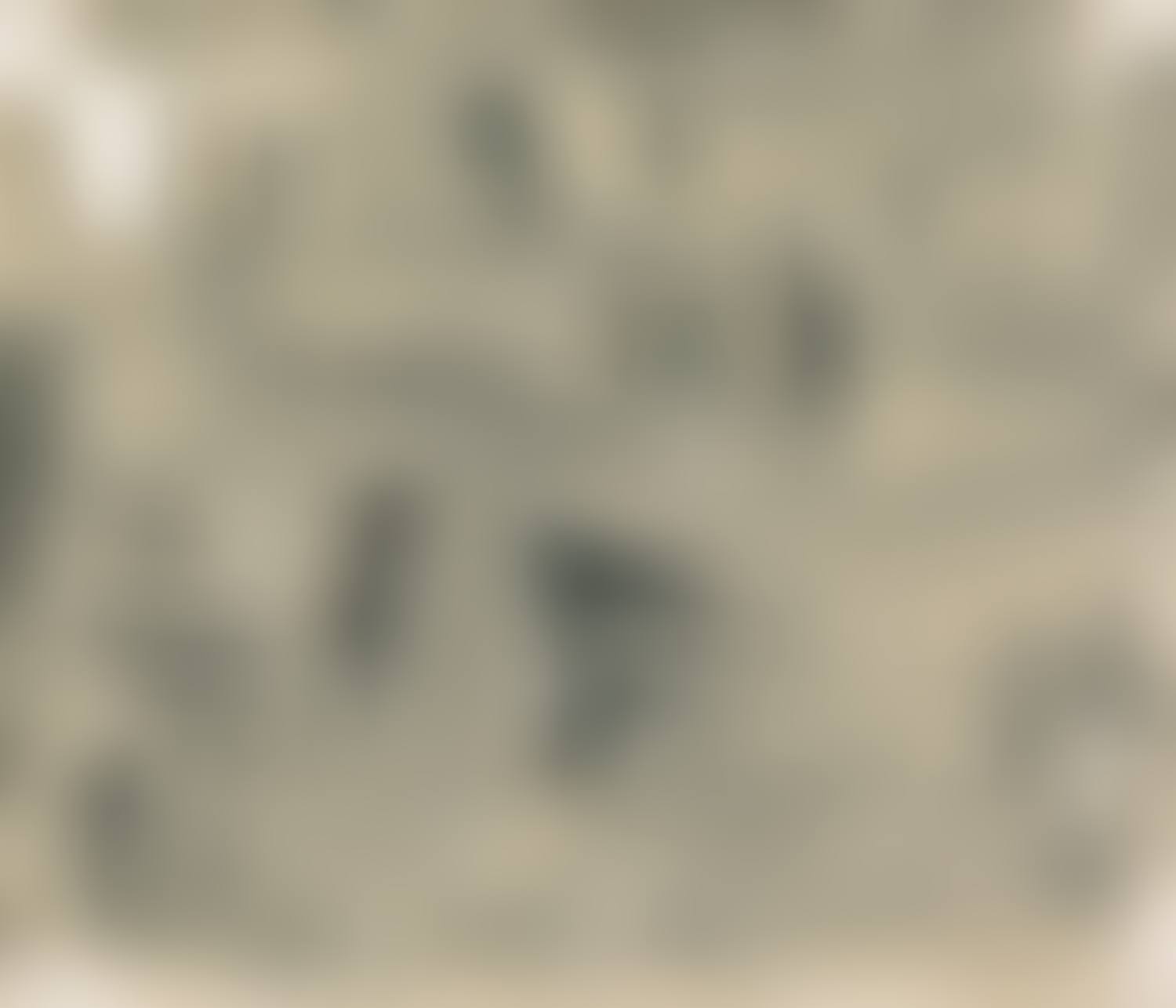 With Winds (preview)