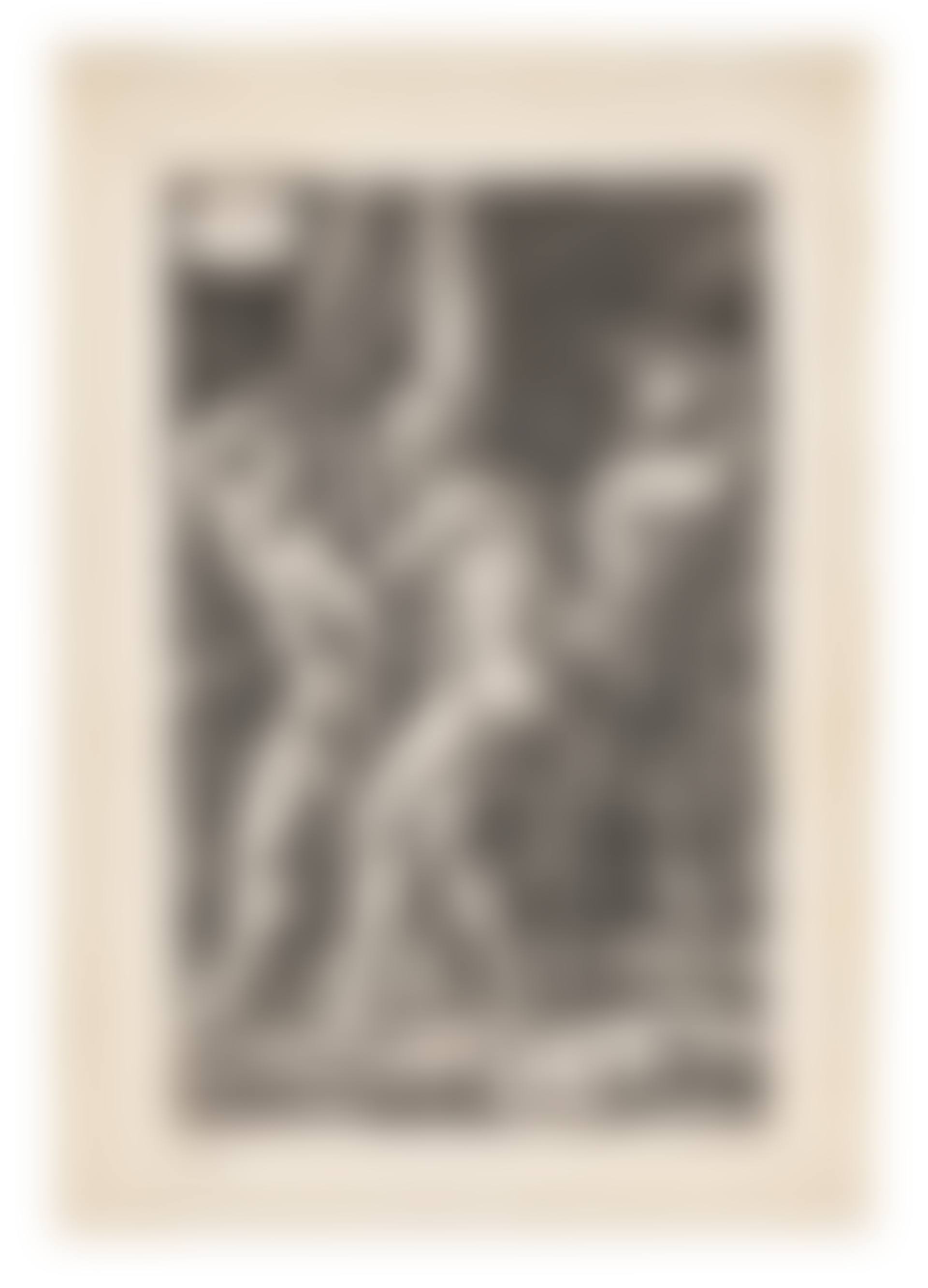 The Flagellation, from: The Engraved Passion (preview)