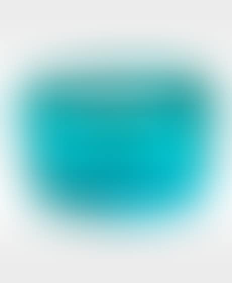 Bowl (preview)