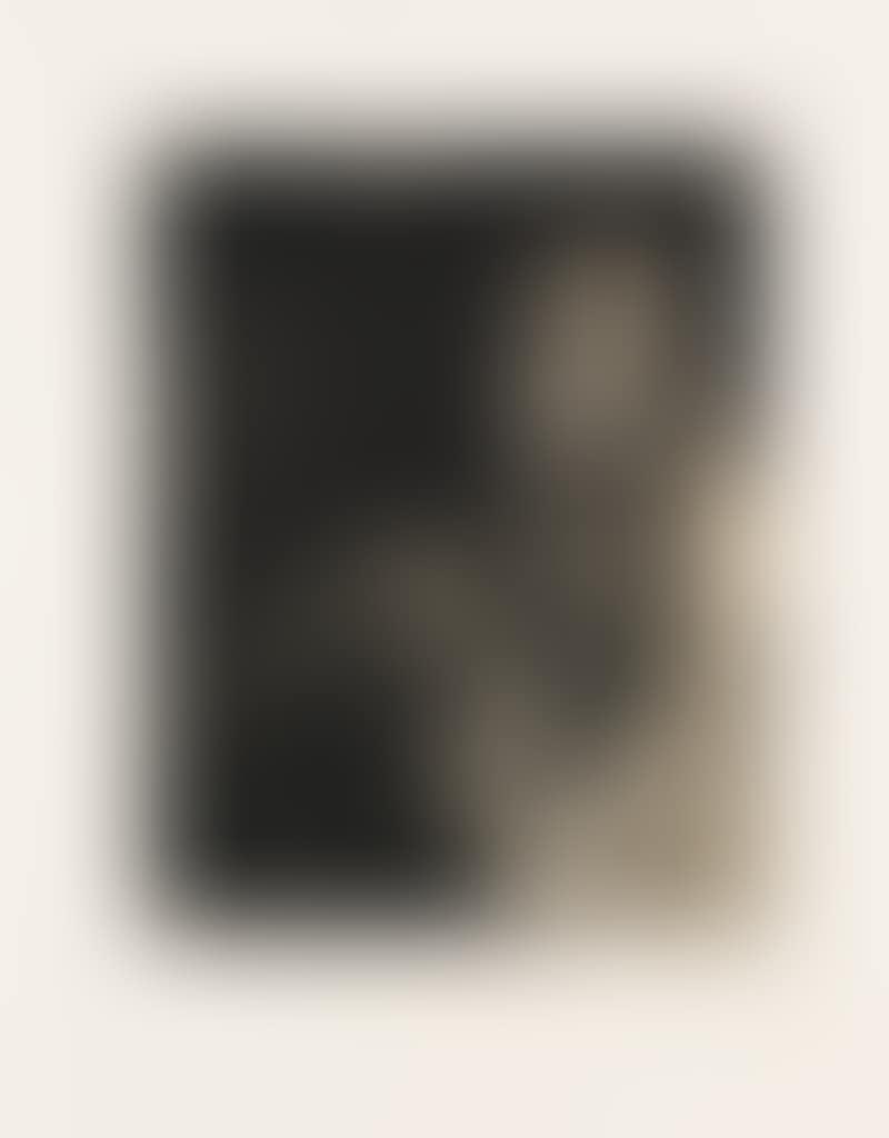 Rosita Mauri (preview)