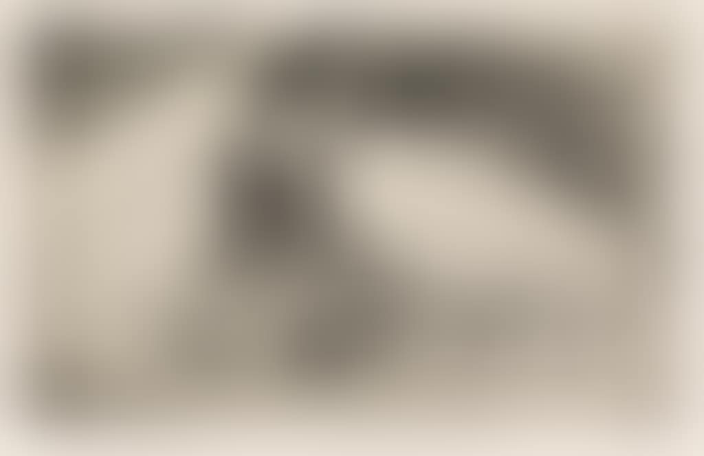 Le Femme aux Figues (preview)