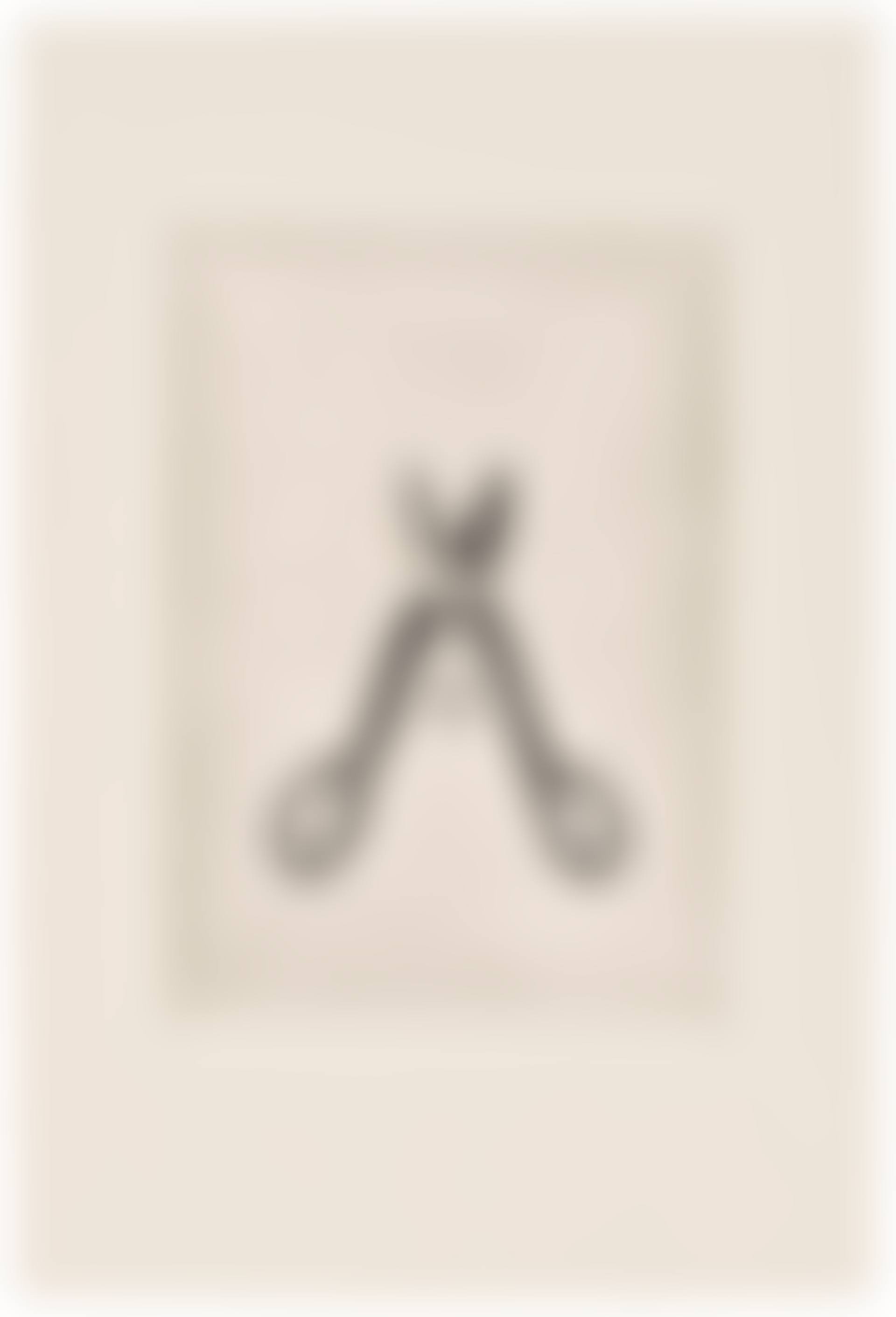 One plate, from: Autobiographical Series (preview)