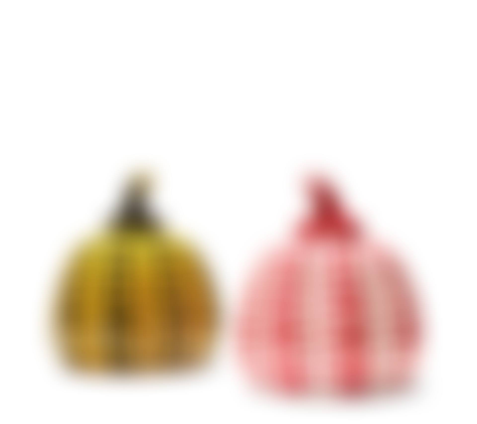 Yellow Pumpkin & Red Pumpkin; Yellow Pumpkin & Red Pumpkin (preview)