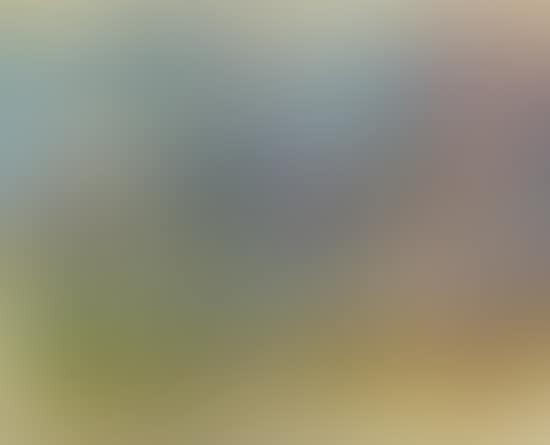 Montmartre (preview)
