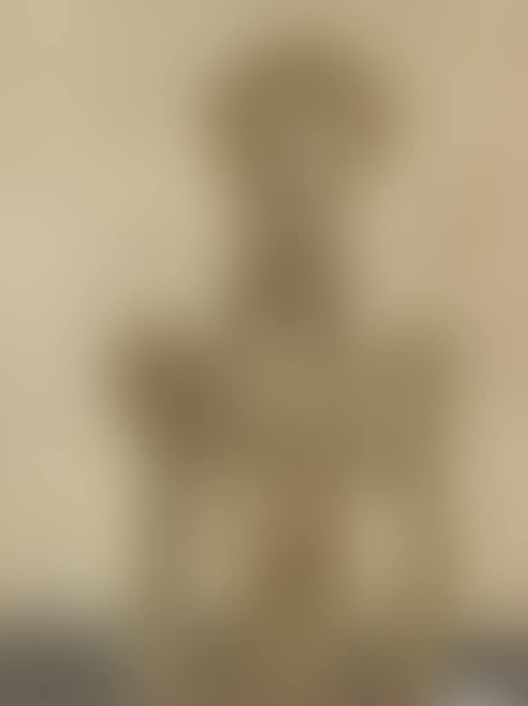 Torso (preview)