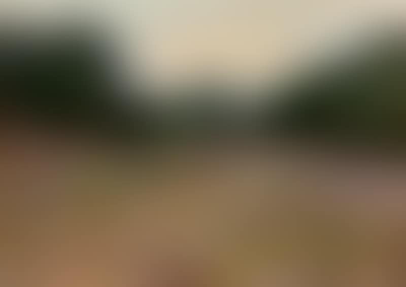 View from a valley surrounded by trees (preview)