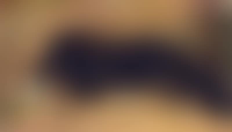 “Lille Fukki død”. Little Fukki dead. The artist"s dog (preview)