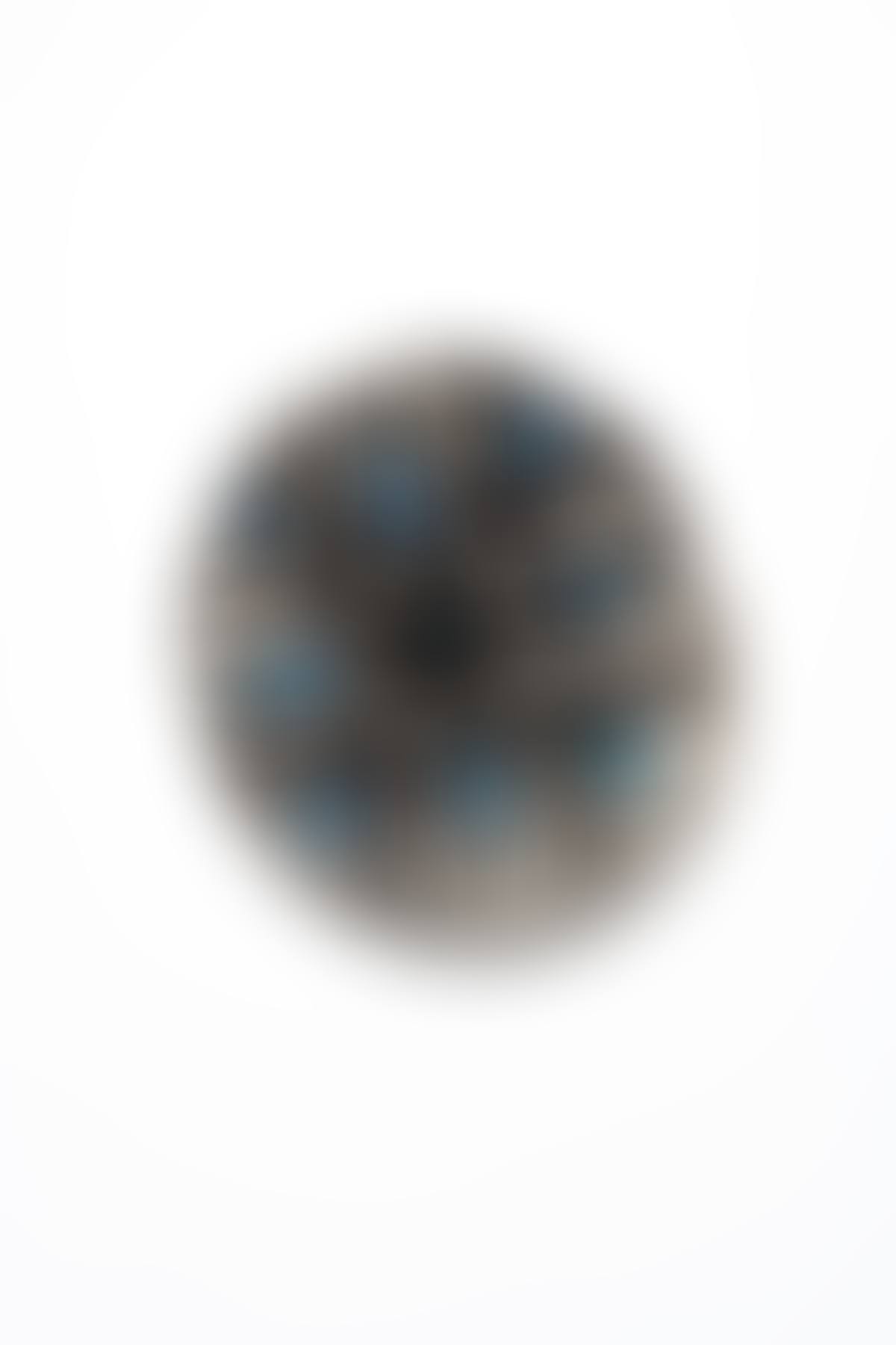 Dish (preview)