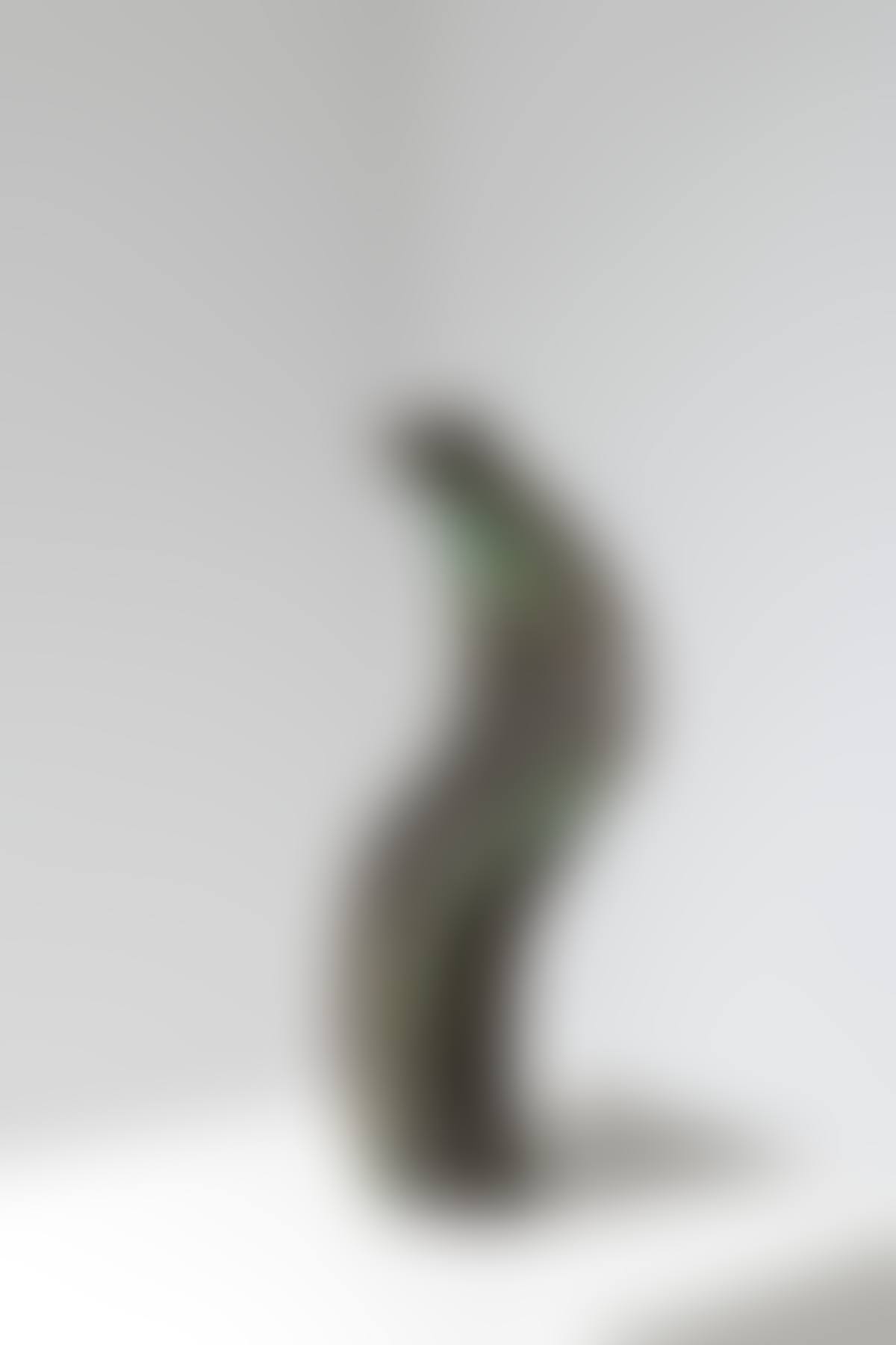 Vase (preview)