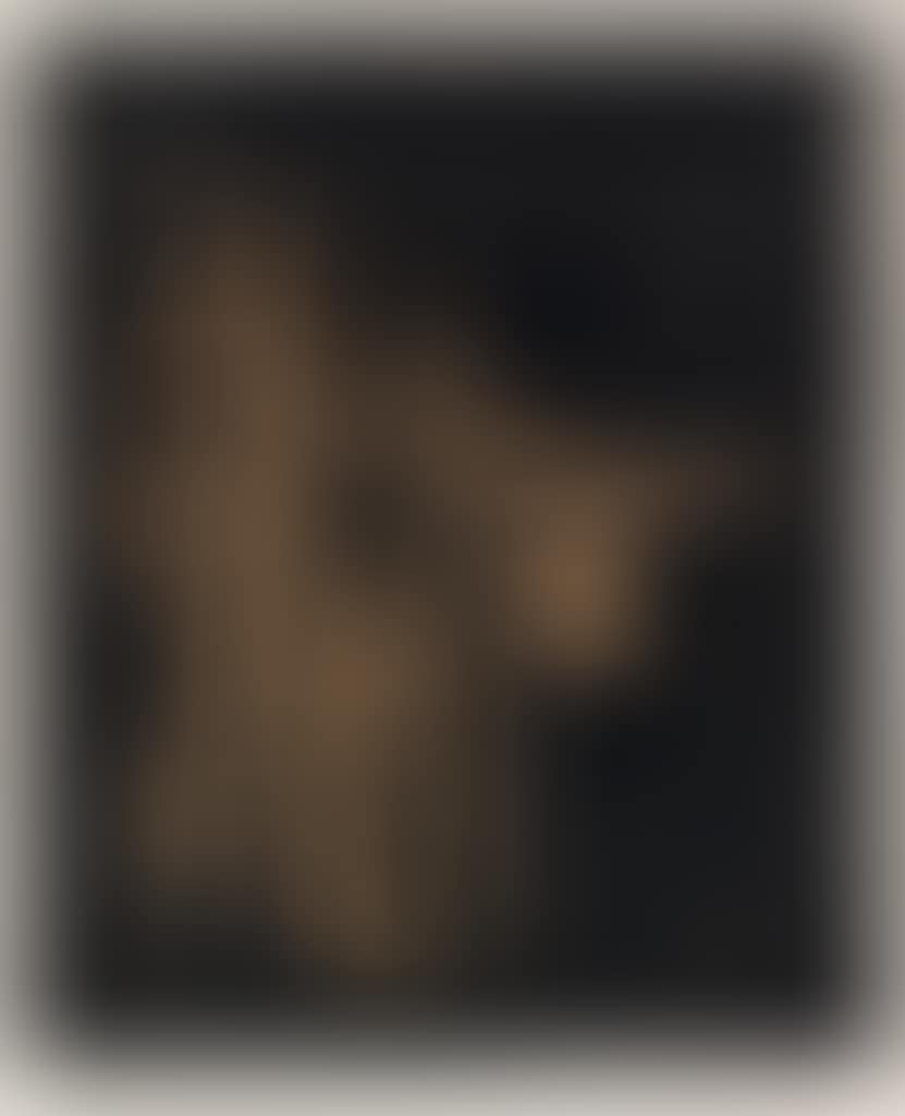 Visage (Tête) (preview)