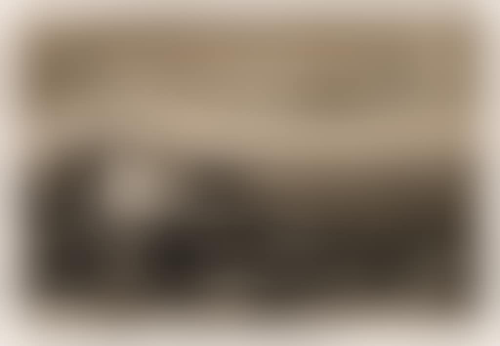 Die Pflüger (preview)