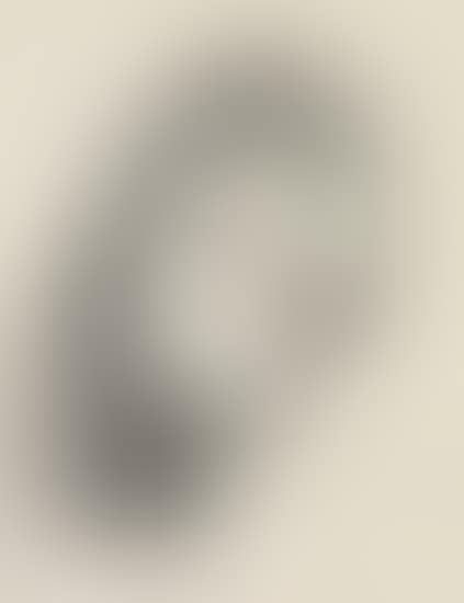 Large Head (preview)