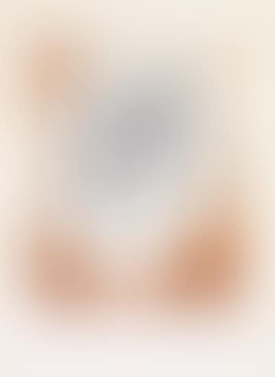 Leda (preview)