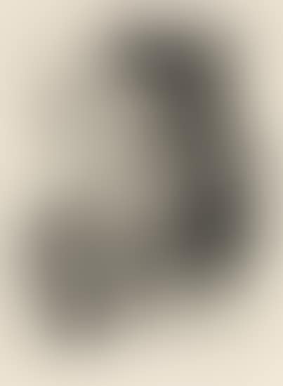 Auguste Rodin (preview)
