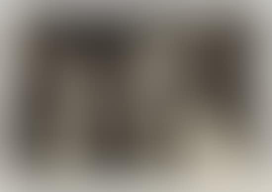 Vicke (preview)