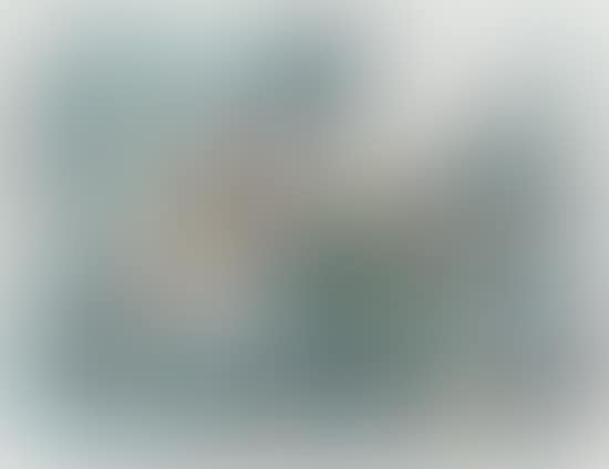 Omnimal (preview)
