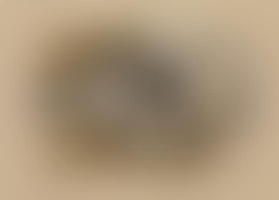 Nature morte (preview)