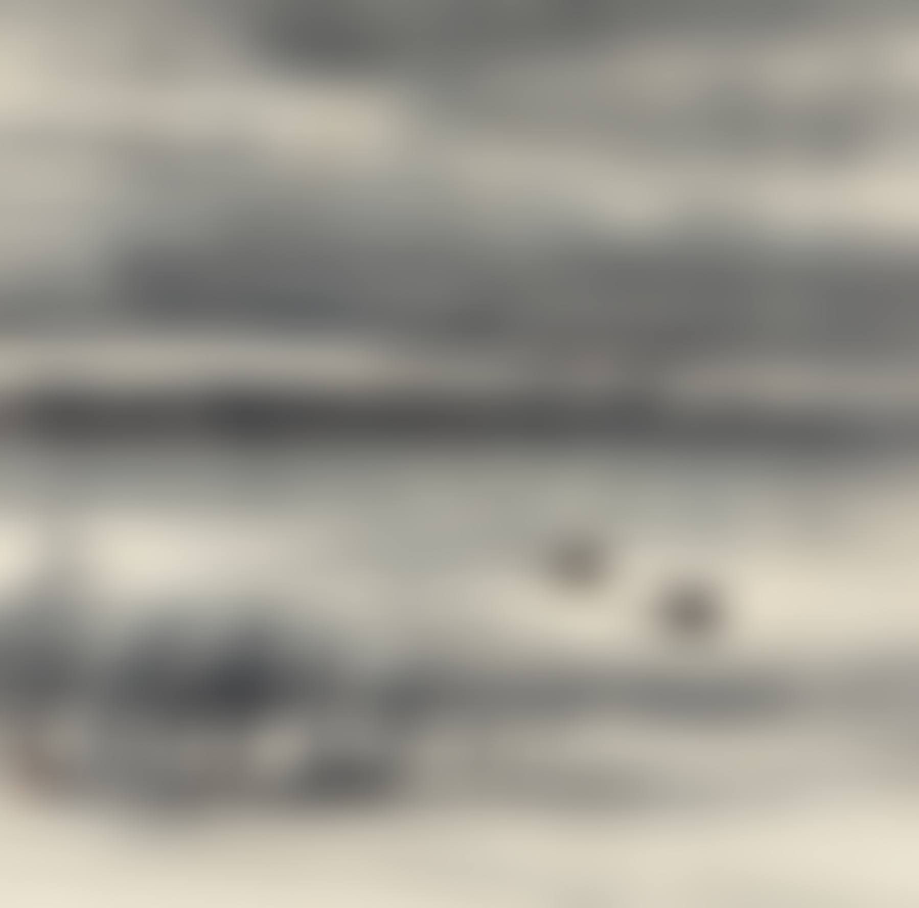 WILD GEESE AND REEDS (preview)