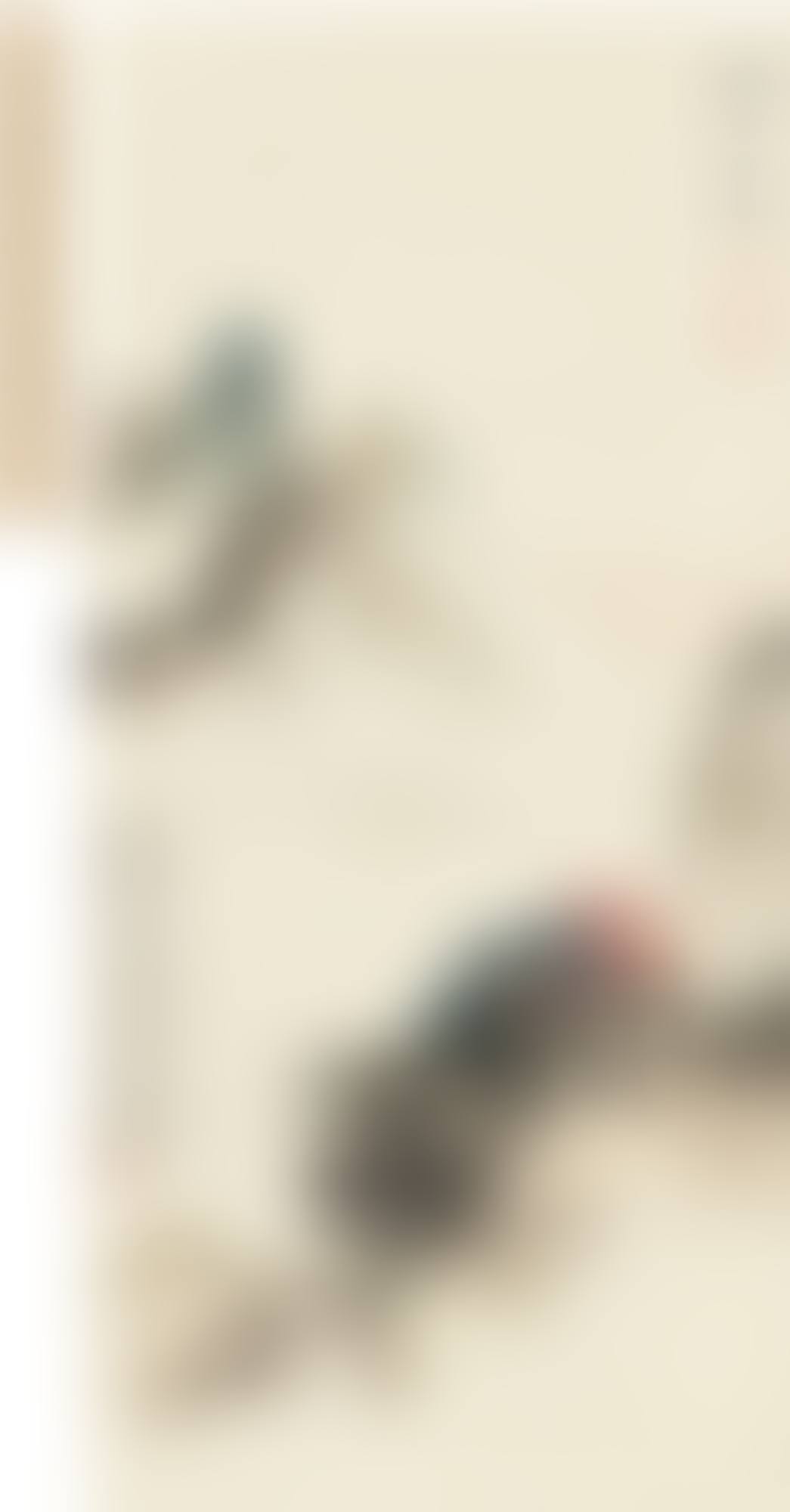 MOUNTAIN ZHONG (preview)