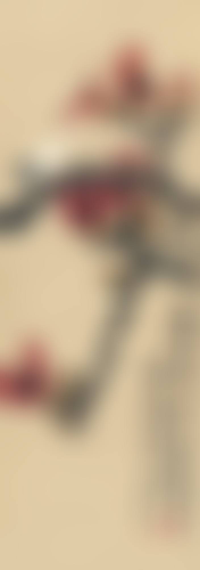 FLOWER (preview)