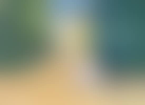 Le Parc (preview)