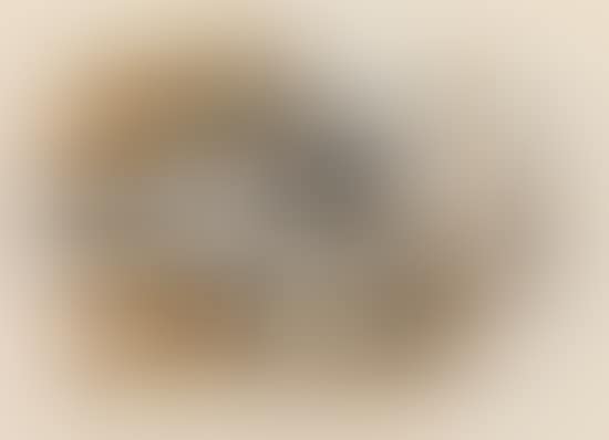 Nature morte (preview)