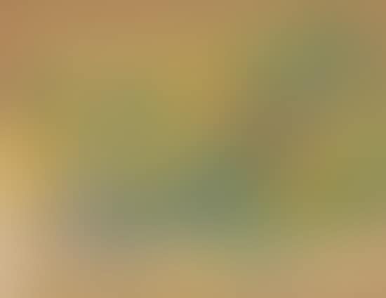 Landscape (preview)