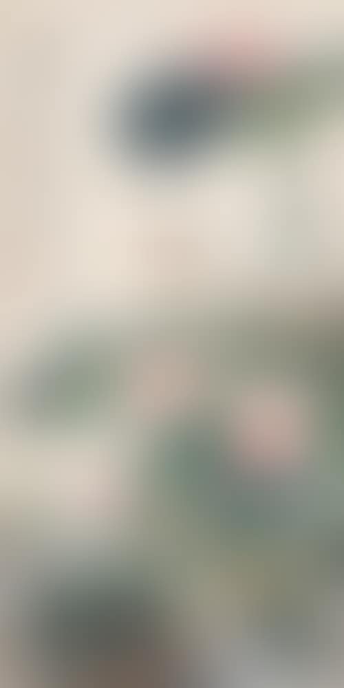 BIRD IN LOTUS POND (preview)