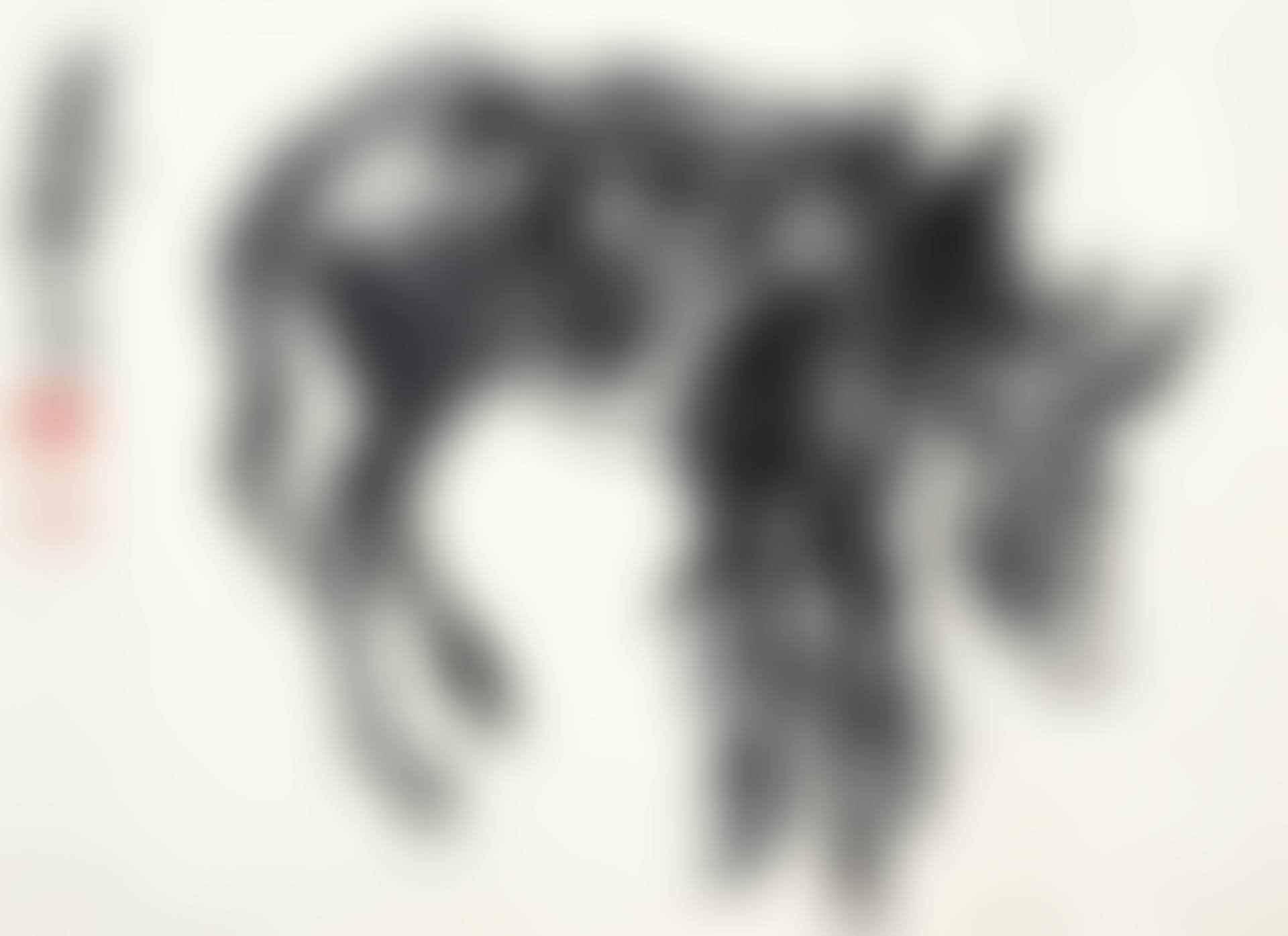 Donkeys (preview)