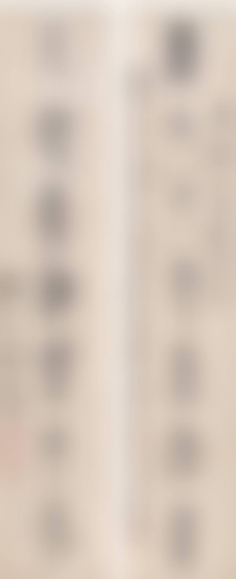 Calligraphy Couplet in Zhuanshu (preview)