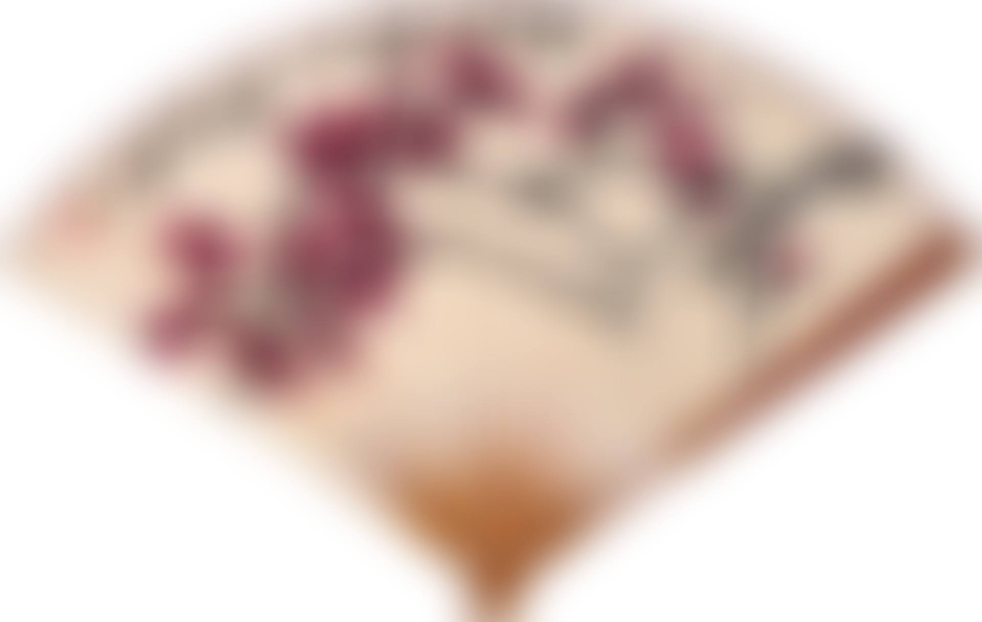 Red Plum Blossoms and Calligraphy (preview)