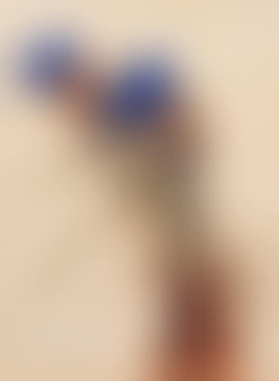 Artischockenblüten (preview)