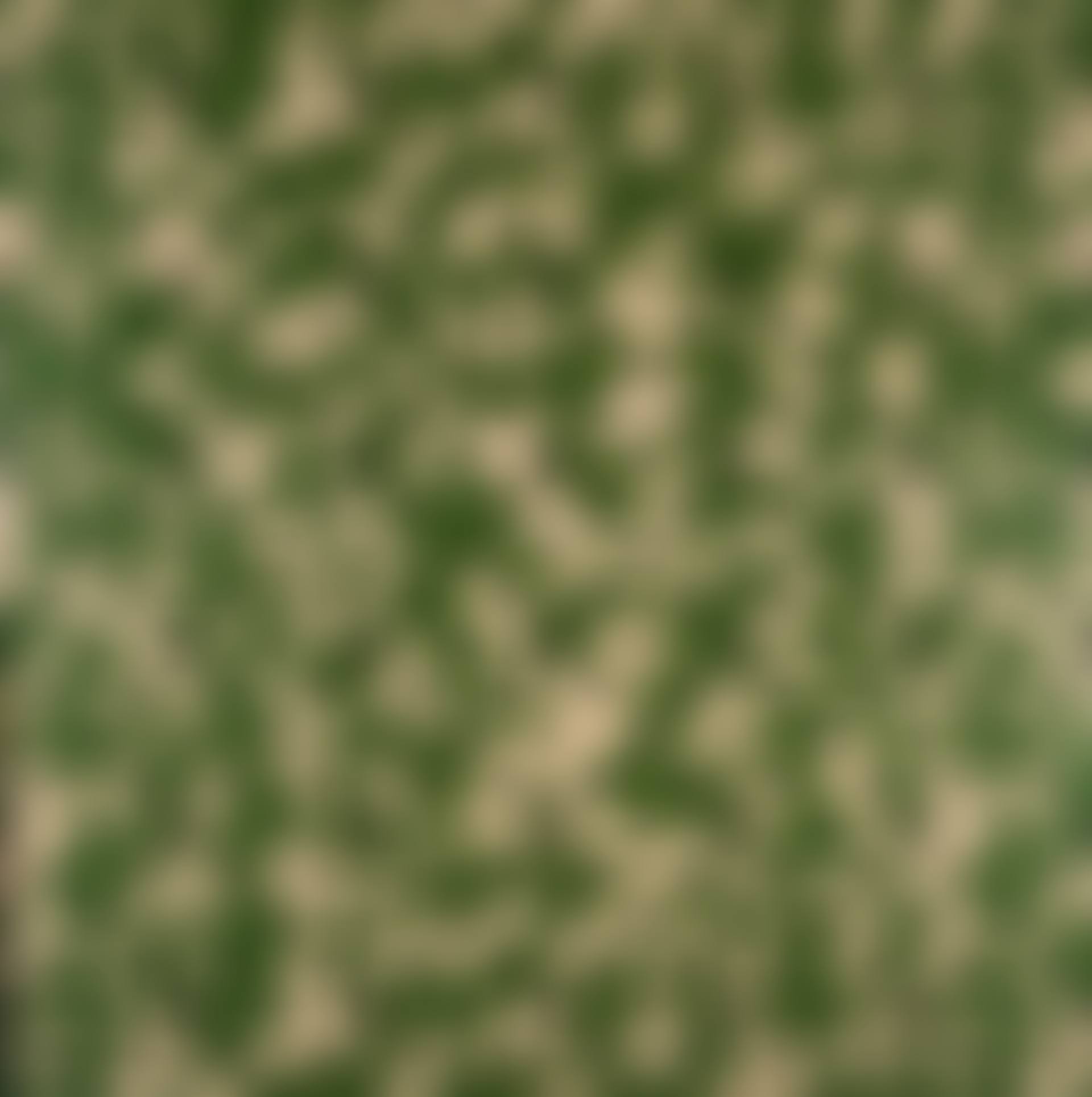 Monogramouflage (preview)