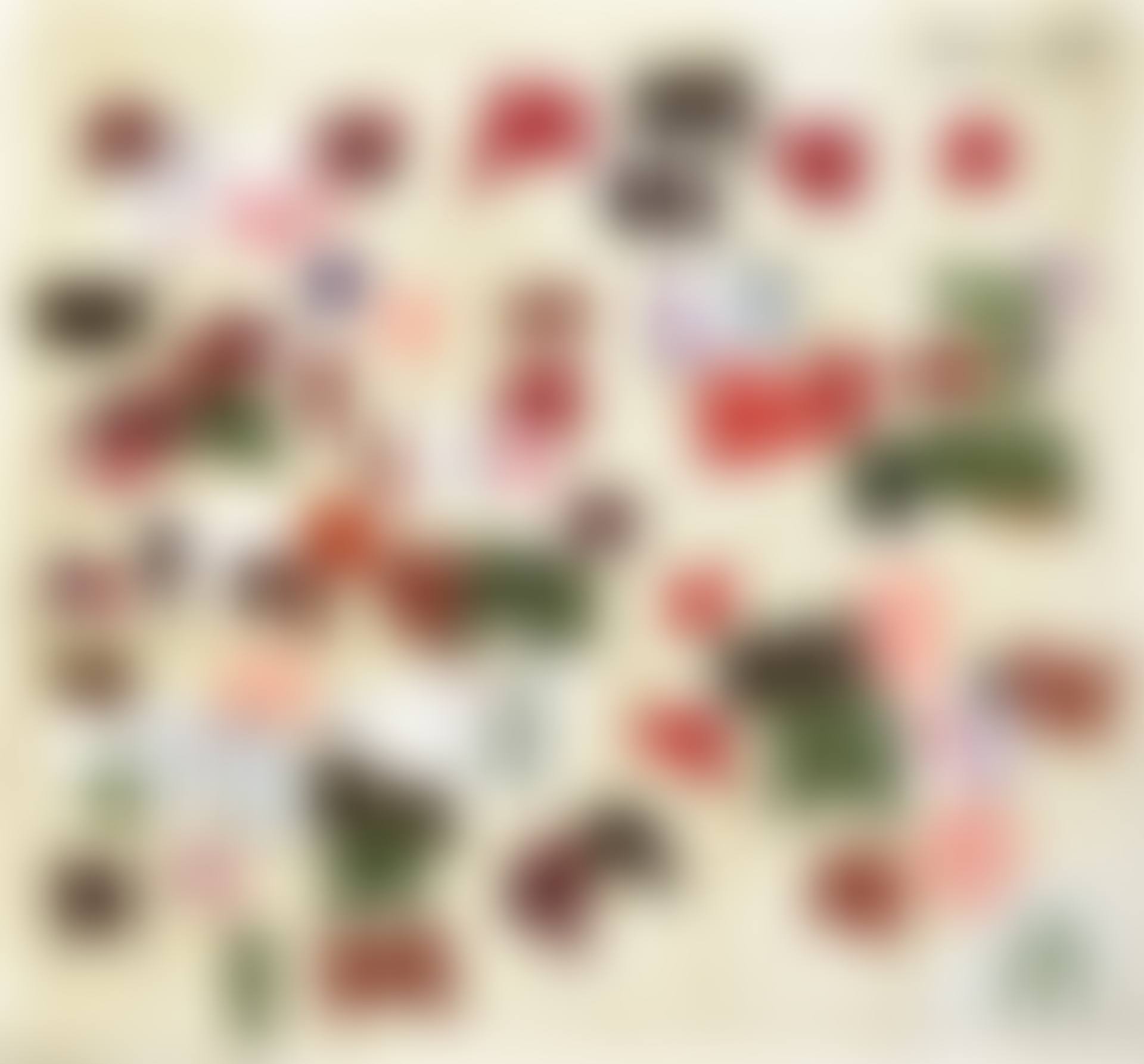 Untitled (preview)