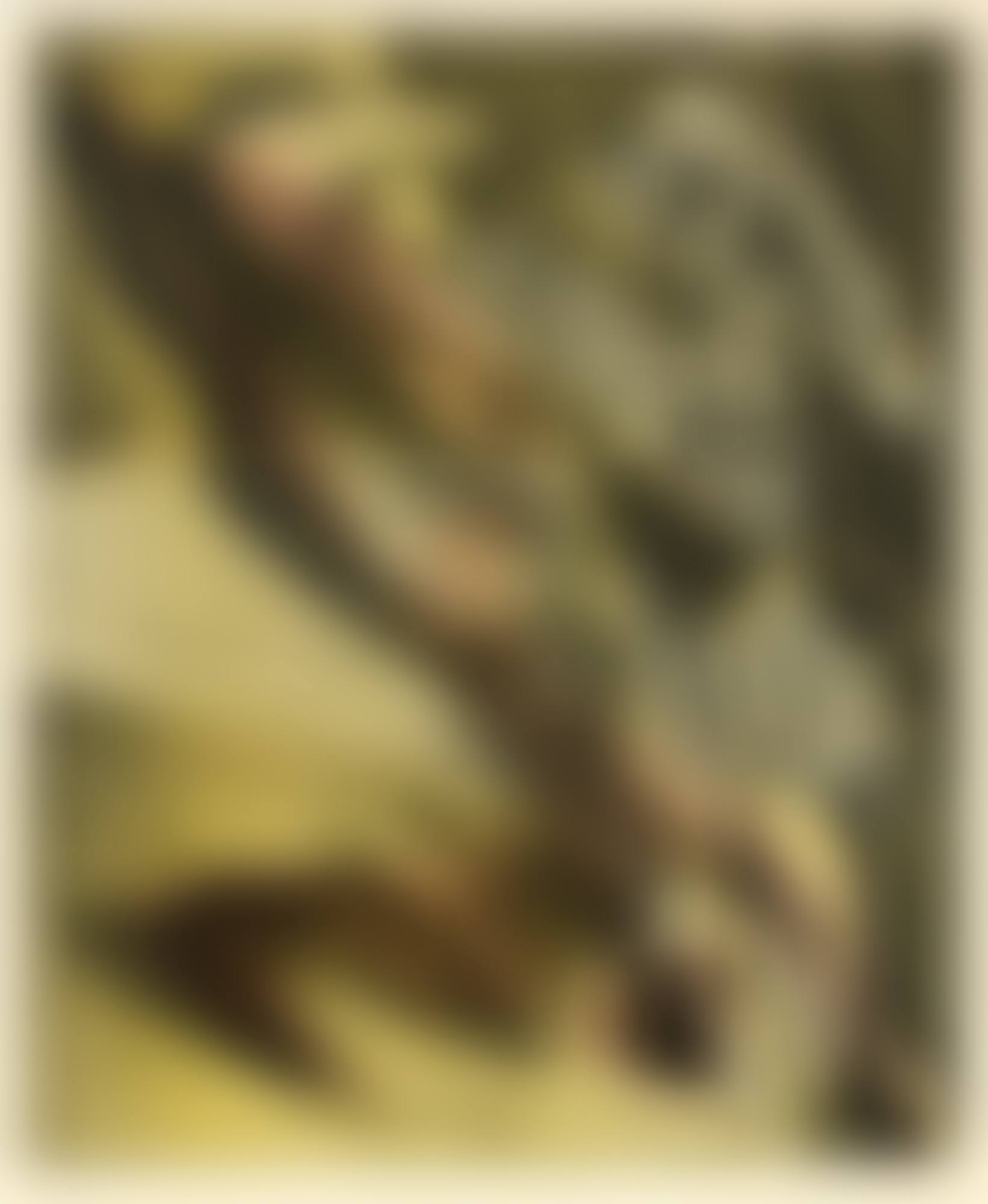 "JEUX D"EAU" (preview)