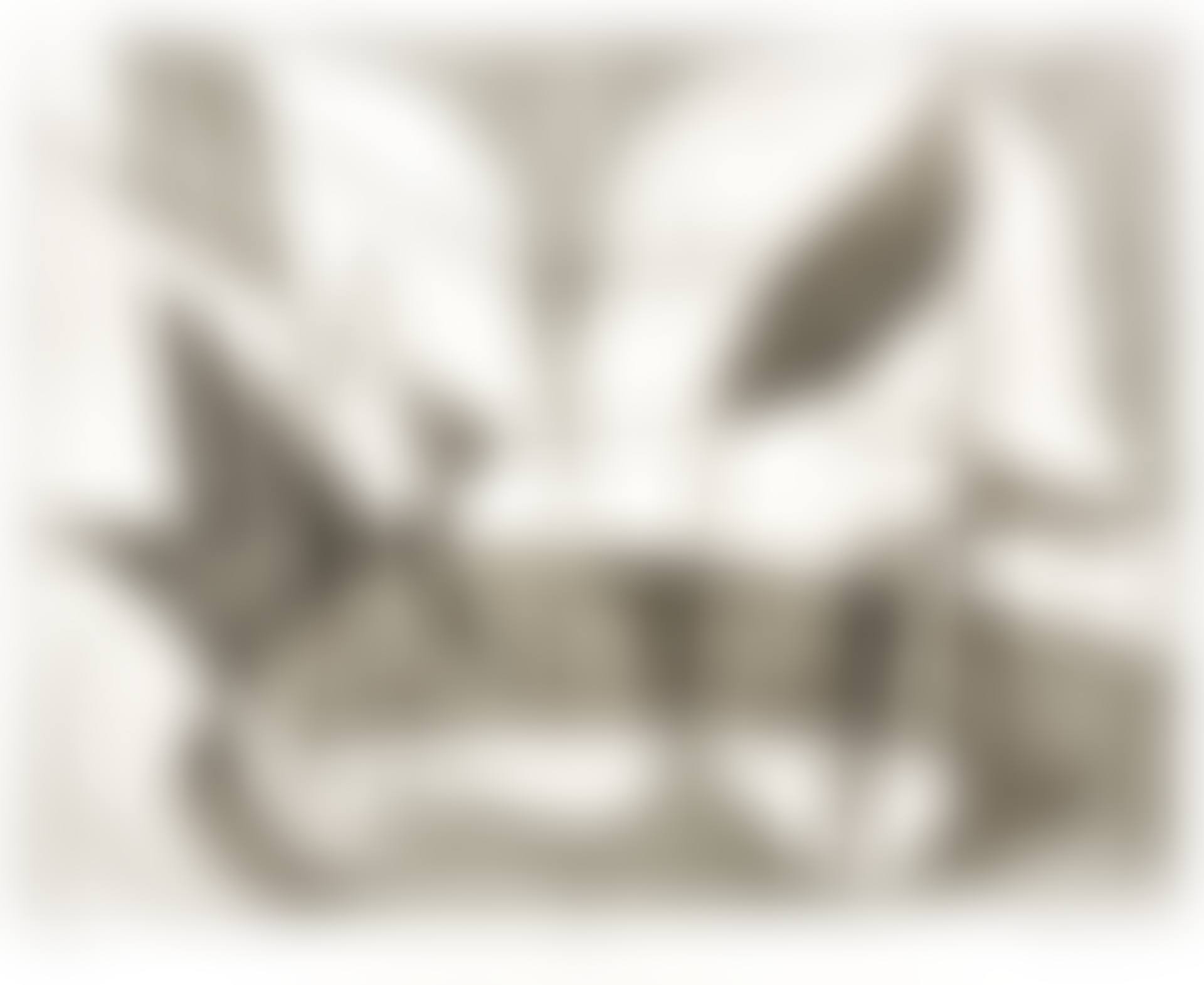 "Nine Engravings", H 16.25" W 13.125" (preview)