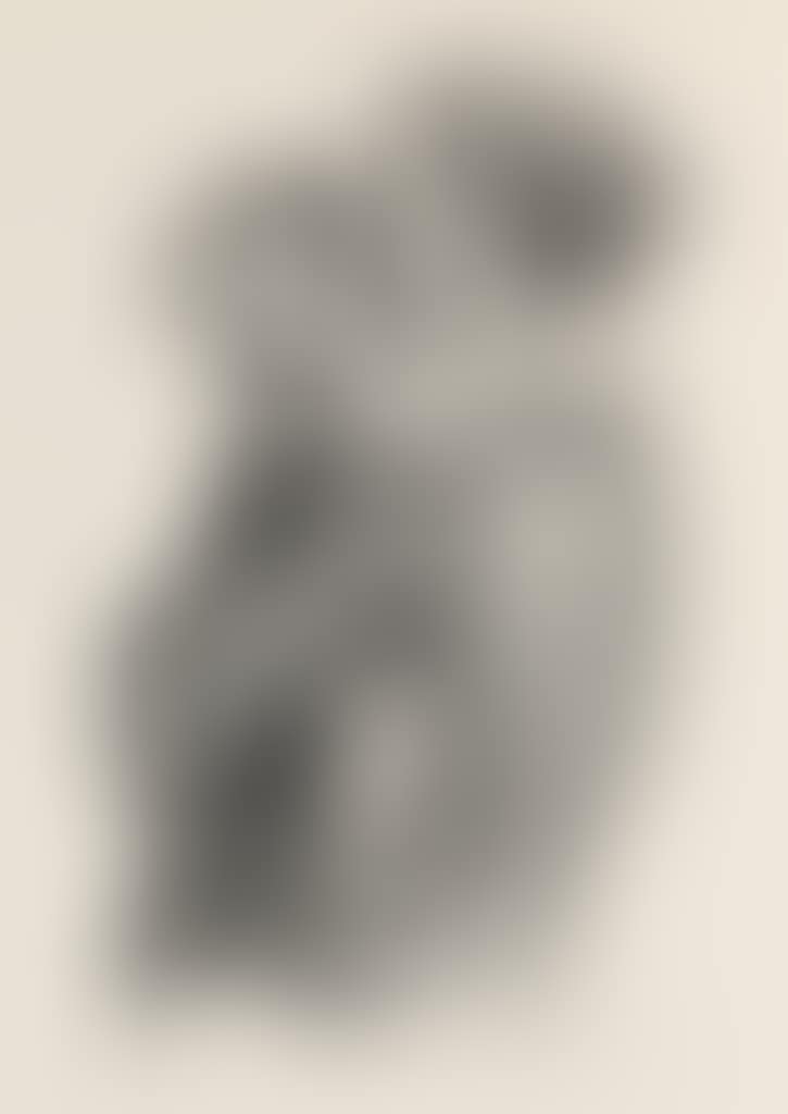 Mutter mit Jungen (preview)
