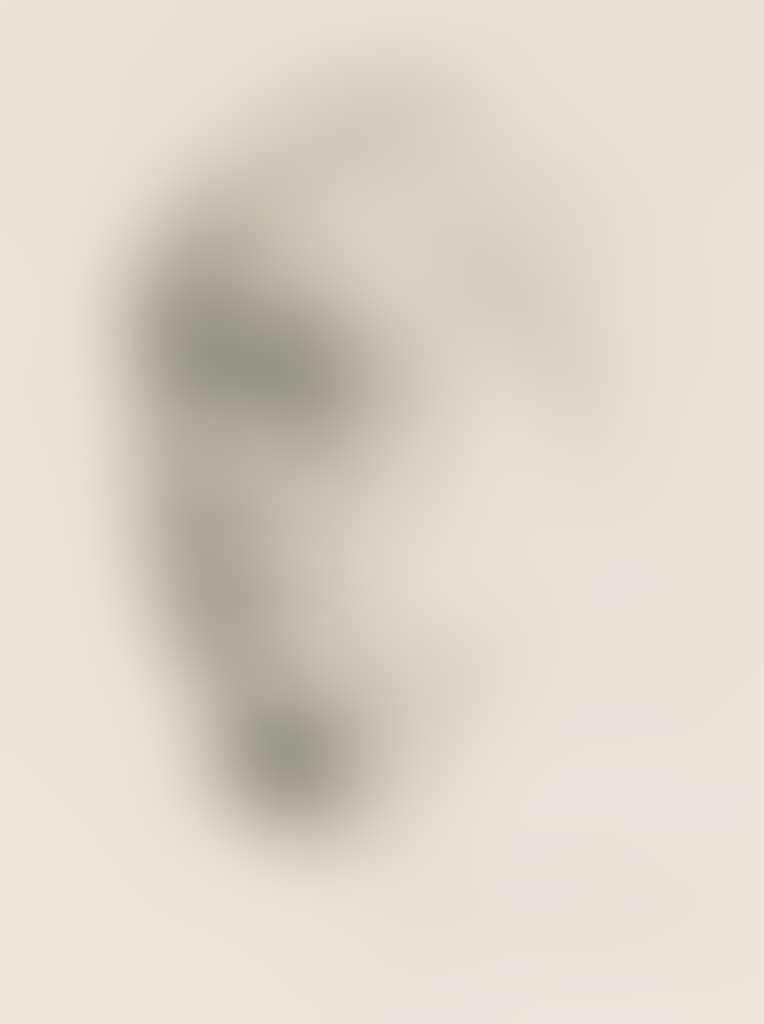 Kleines Selbstbildnis nach Links (preview)