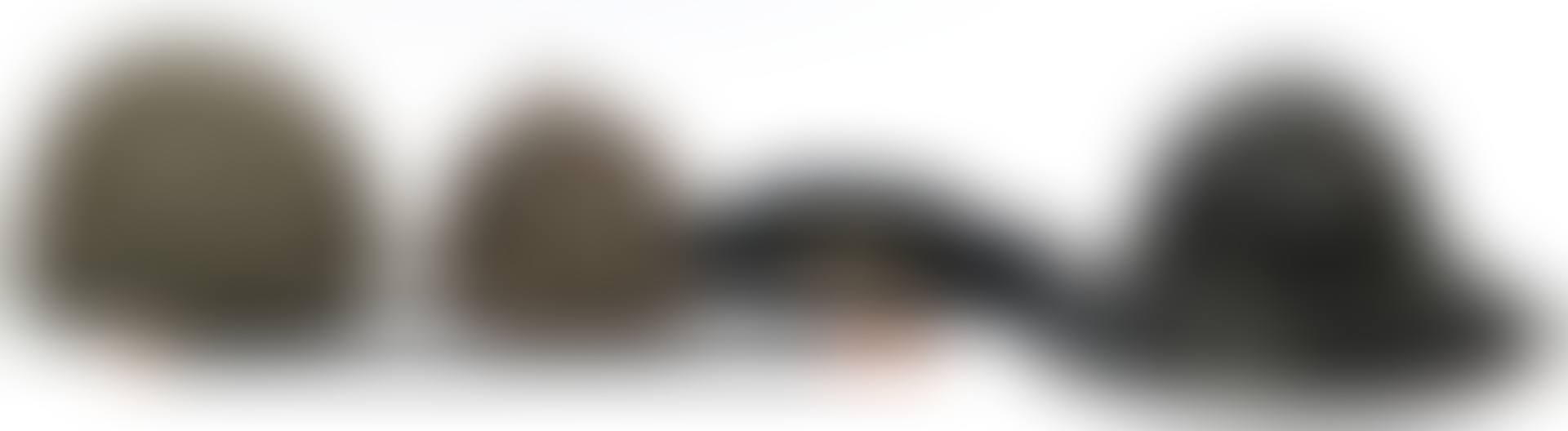 Military hats and baton collection (preview)
