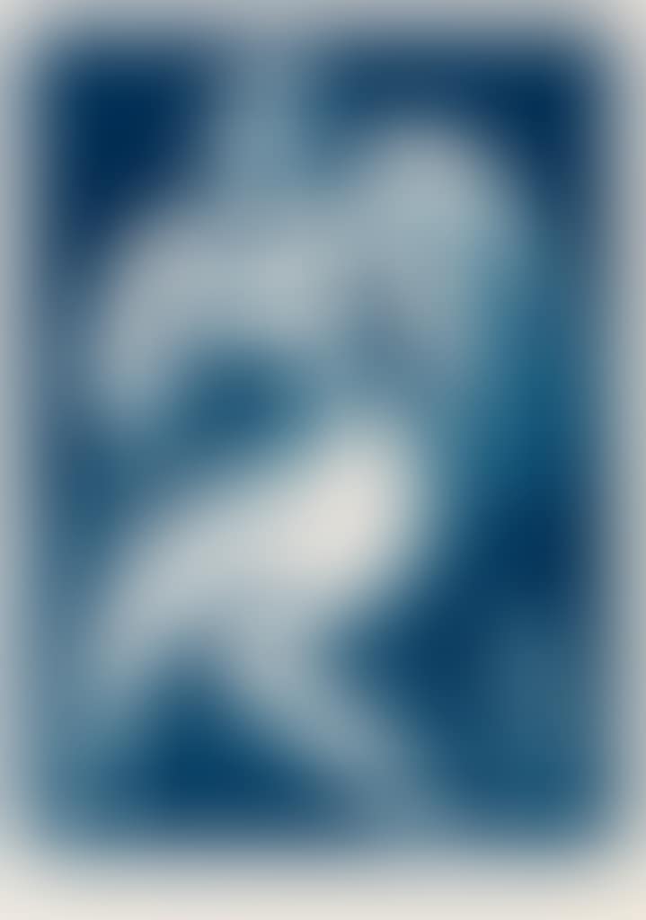 Coquette (preview)