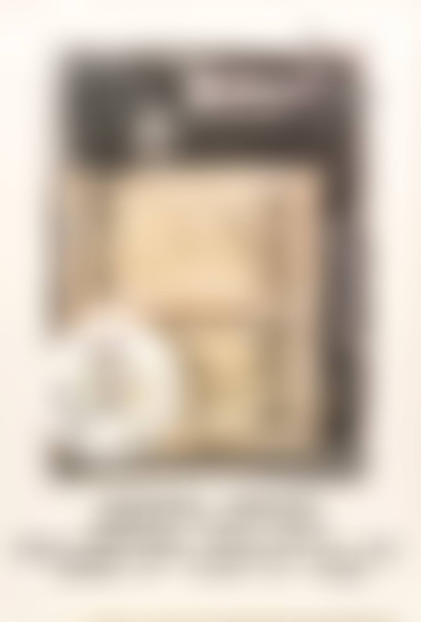 Philadelphia Museum of Art Poster (preview)
