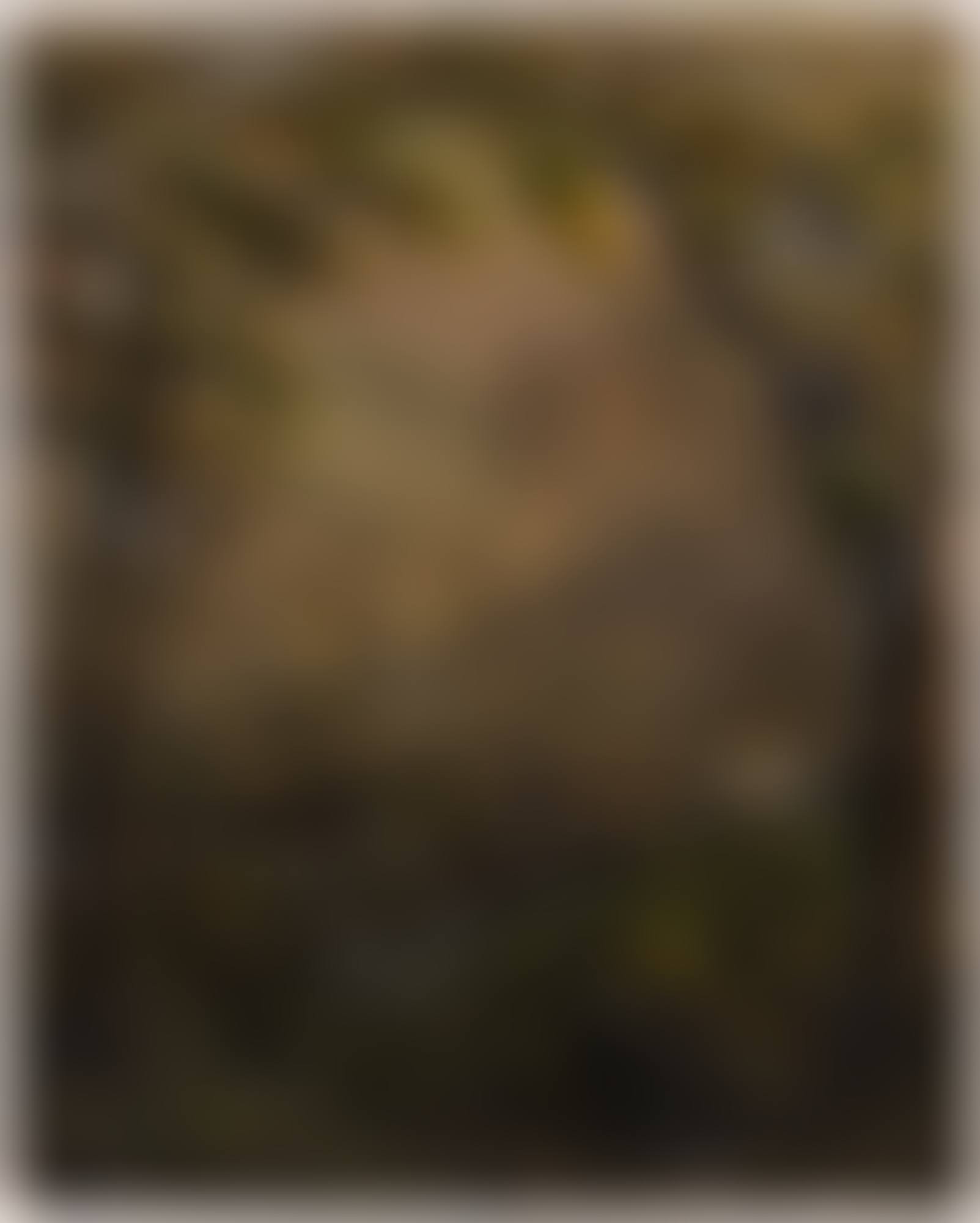 Settler Landscape (preview)