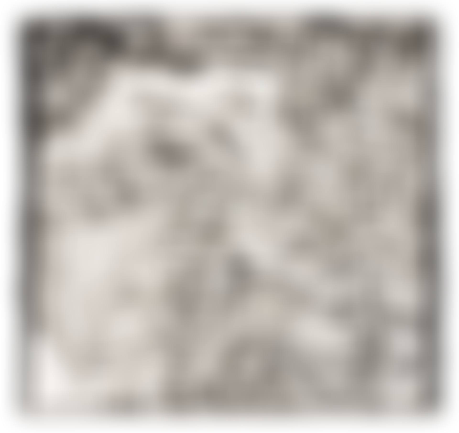 Swan Engraving VII (preview)
