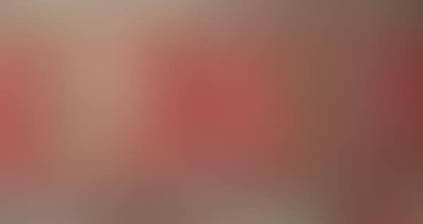 Oriental rug (preview)