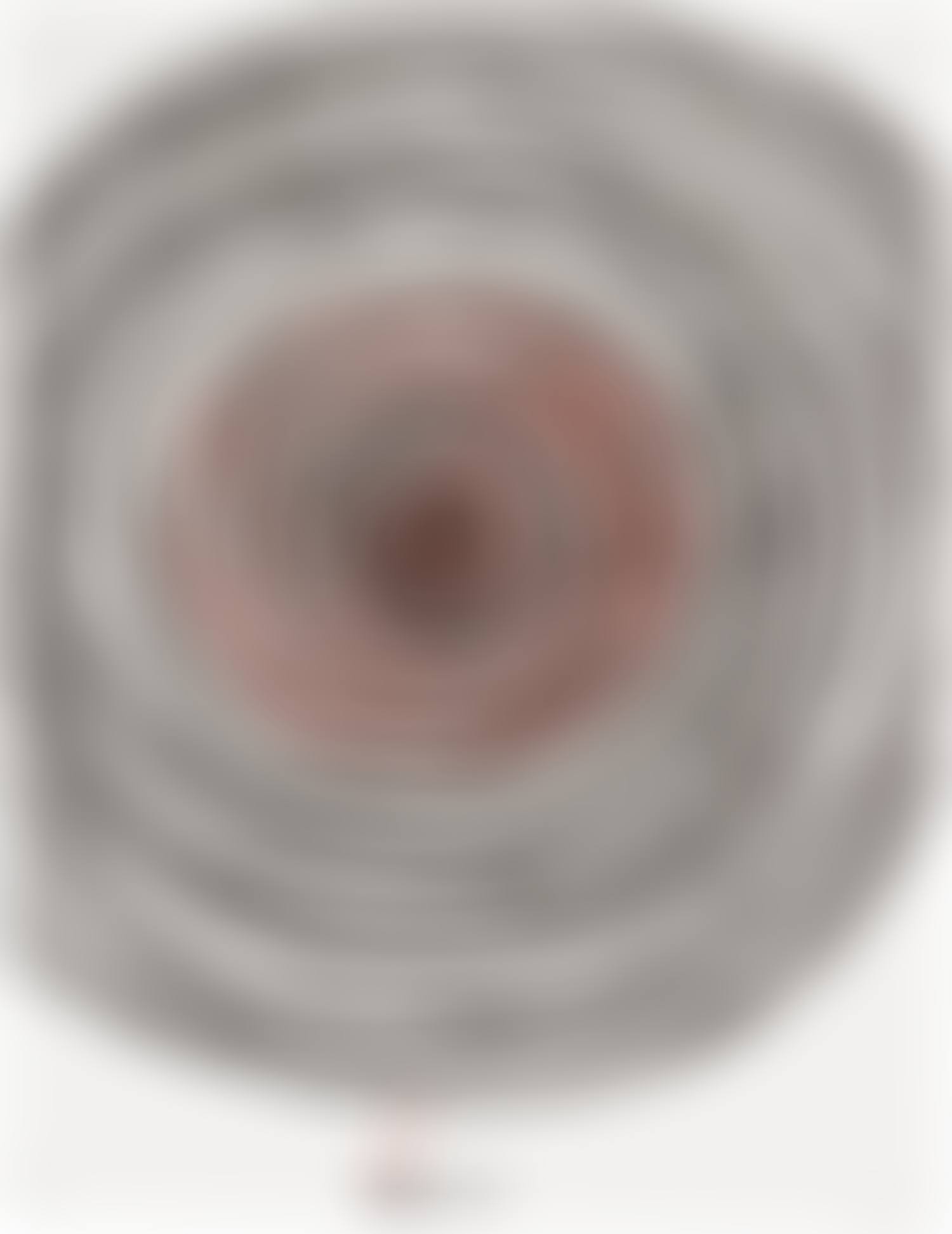 Connection to the Universe (preview)