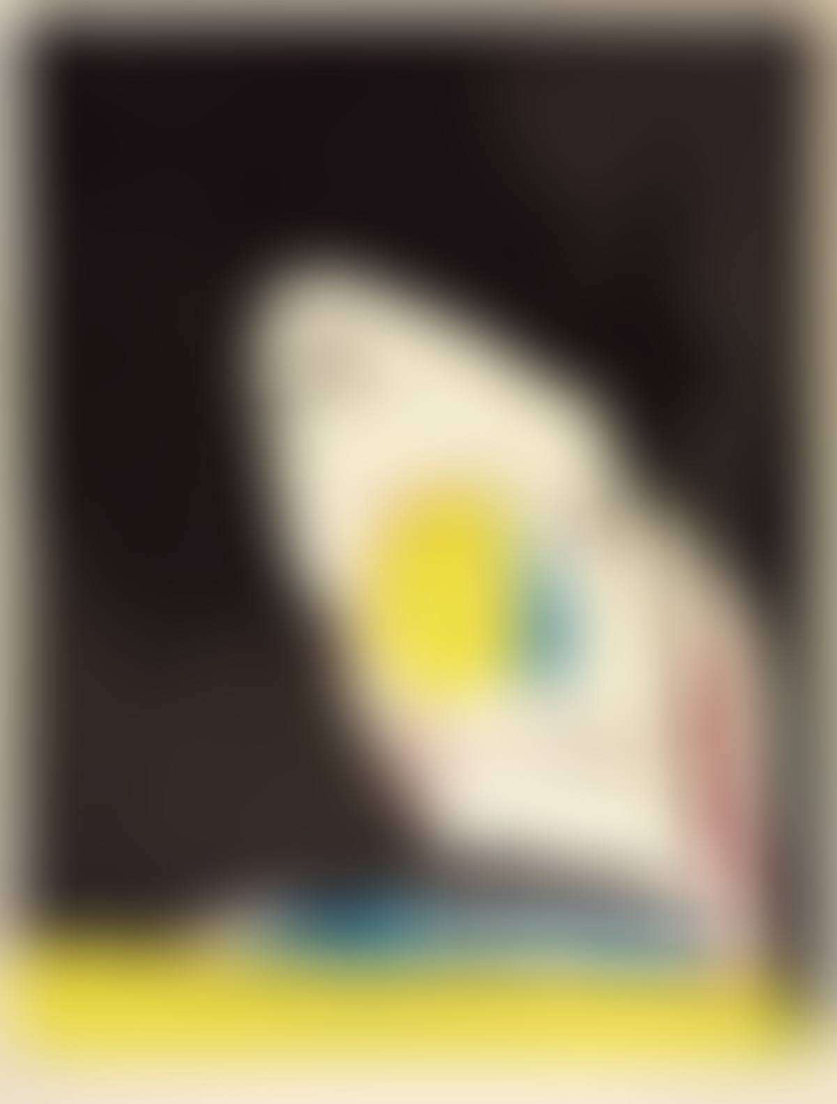 Capriccio (preview)